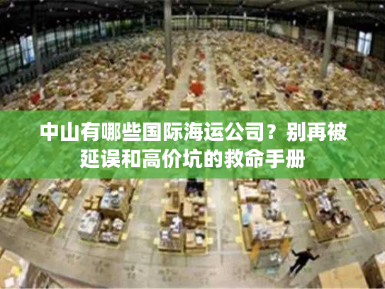 中山有哪些国际海运公司？别再被延误和高价坑的救命手册