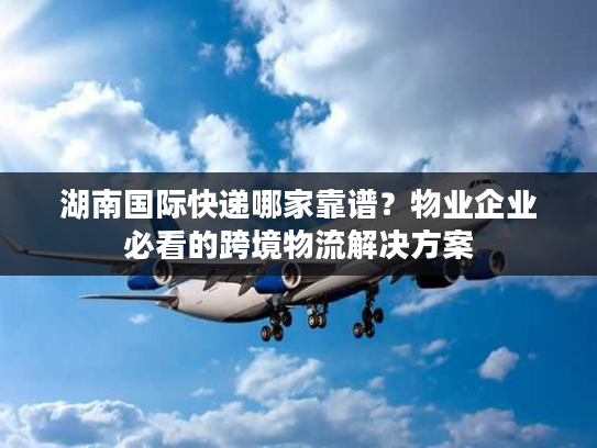 湖南国际快递哪家靠谱？物业企业必看的跨境物流解决方案