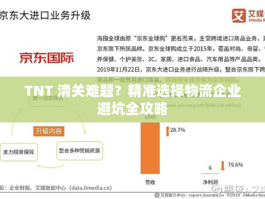 TNT 清关难题？精准选择物流企业避坑全攻略