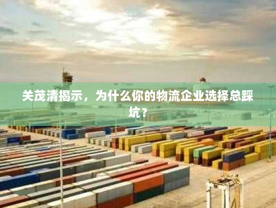 关茂清揭示，为什么你的物流企业选择总踩坑？