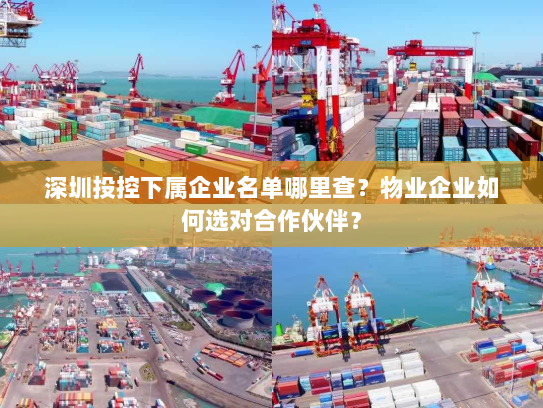 深圳投控下属企业名单哪里查?物业企业如何选对合作伙伴? 深圳投控下属企业名单哪里查?物业企业如何选对合作伙伴?