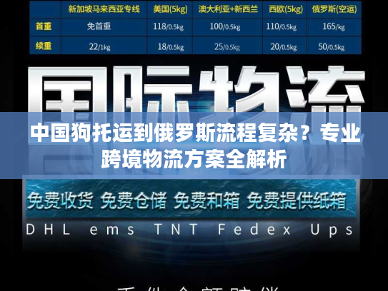 中国狗托运到俄罗斯流程复杂？专业跨境物流方案全解析