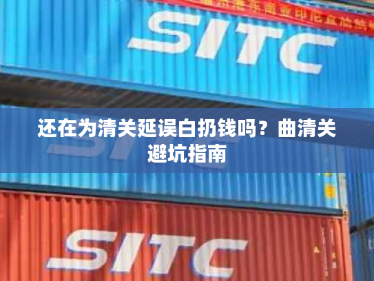 还在为清关延误白扔钱吗？曲清关避坑指南