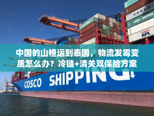 中国的山楂运到泰国，物流发霉变质怎么办？冷链+清关双保险方案