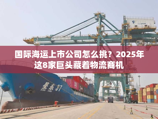 国际海运上市公司怎么挑？2025年这8家巨头藏着物流商机