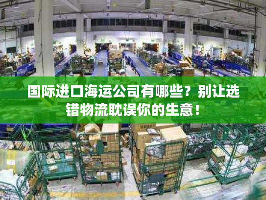 国际进口海运公司有哪些？别让选错物流耽误你的生意！
