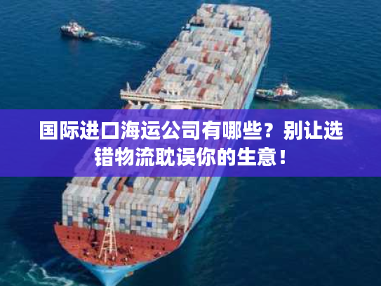 国际进口海运公司有哪些？别让选错物流耽误你的生意！