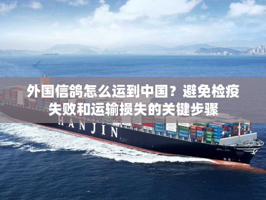 外国信鸽怎么运到中国？避免检疫失败和运输损失的关键步骤