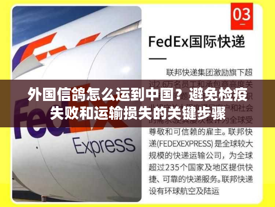 外国信鸽怎么运到中国？避免检疫失败和运输损失的关键步骤