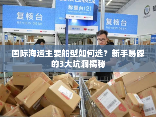 国际海运主要船型如何选？新手易踩的3大坑洞揭秘