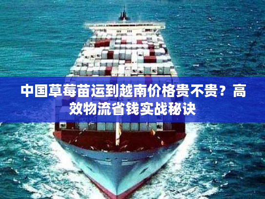 中国草莓苗运到越南价格贵不贵？高效物流省钱实战秘诀