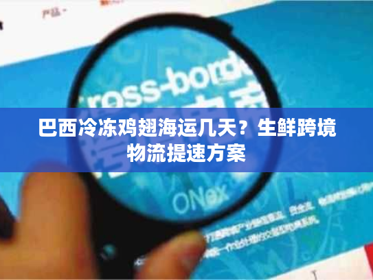 巴西冷冻鸡翅海运几天？生鲜跨境物流提速方案