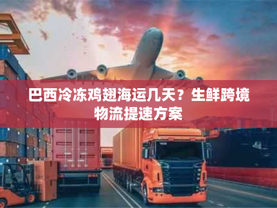 巴西冷冻鸡翅海运几天？生鲜跨境物流提速方案