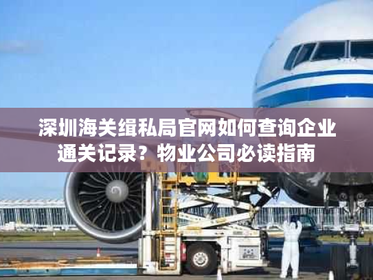 深圳海关缉私局官网如何查询企业通关记录？物业公司必读指南