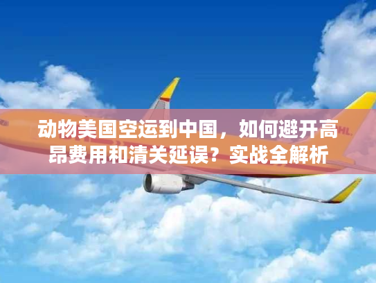 动物美国空运到中国，如何避开高昂费用和清关延误？实战全解析