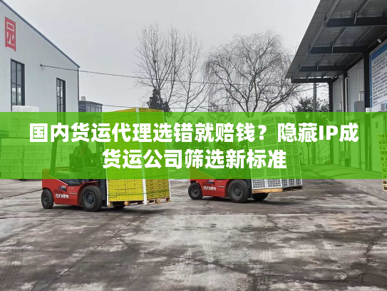 国内货运代理选错就赔钱?隐藏IP成货运公司筛选新标准 国内货运代理选错就赔钱?隐藏IP成货运公司筛选新标准