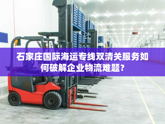 石家庄国际海运专线双清关服务如何破解企业物流难题？