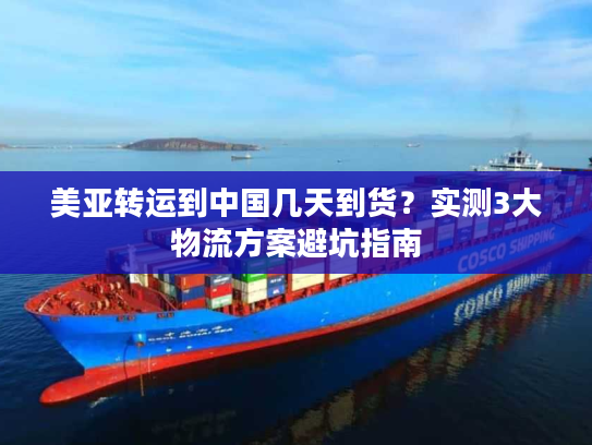 美亚转运到中国几天到货？实测3大物流方案避坑指南