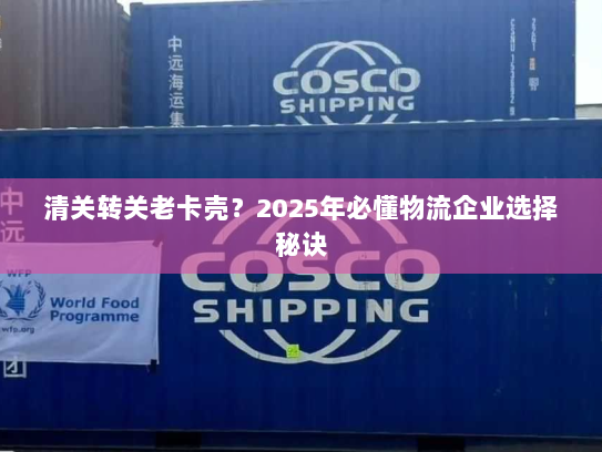 清关转关老卡壳？2025年必懂物流企业选择秘诀