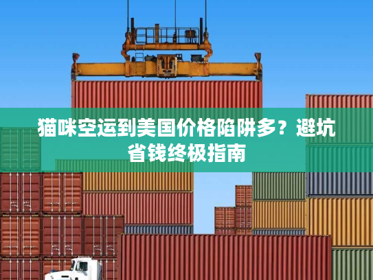 猫咪空运到美国价格陷阱多？避坑省钱终极指南