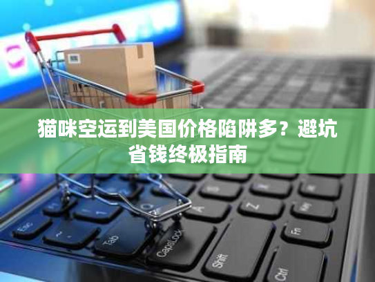 猫咪空运到美国价格陷阱多？避坑省钱终极指南