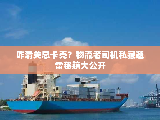 咋清关总卡壳？物流老司机私藏避雷秘籍大公开