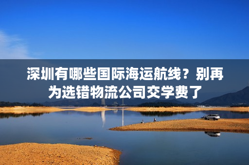 深圳有哪些国际海运航线？别再为选错物流公司交学费了