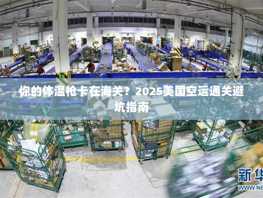 你的体温枪卡在海关？2025美国空运通关避坑指南