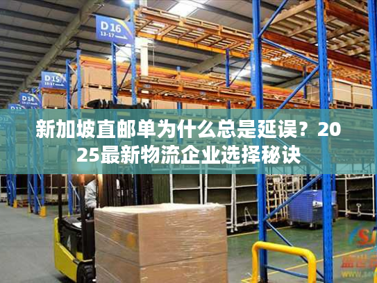 新加坡直邮单为什么总是延误？2025最新物流企业选择秘诀