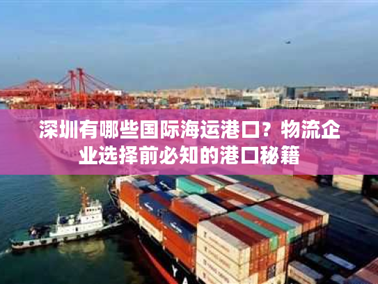深圳有哪些国际海运港口？物流企业选择前必知的港口秘籍