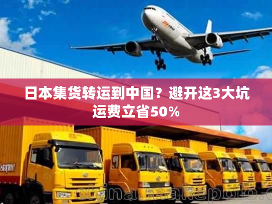 日本集货转运到中国？避开这3大坑运费立省50%