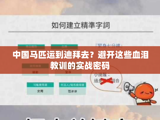中国马匹运到迪拜去？避开这些血泪教训的实战密码