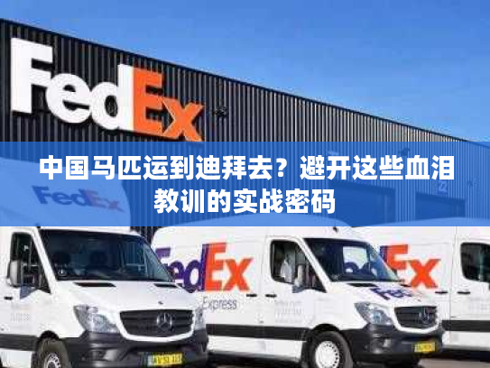 中国马匹运到迪拜去？避开这些血泪教训的实战密码