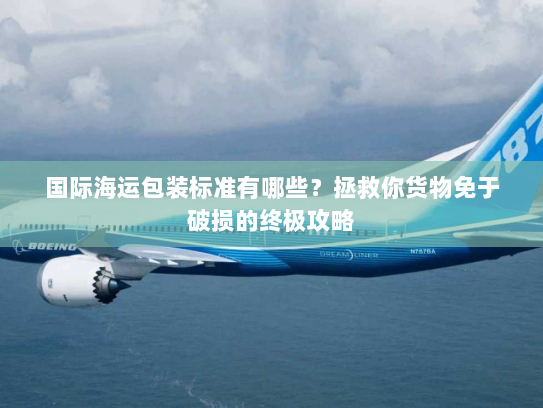 国际海运包装标准有哪些？拯救你货物免于破损的终极攻略