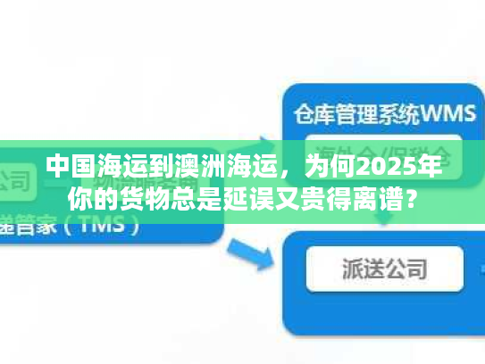 中国海运到澳洲海运，为何2025年你的货物总是延误又贵得离谱？