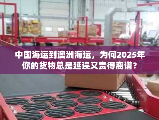 中国海运到澳洲海运，为何2025年你的货物总是延误又贵得离谱？
