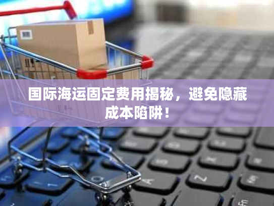 国际海运固定费用揭秘，避免隐藏成本陷阱！