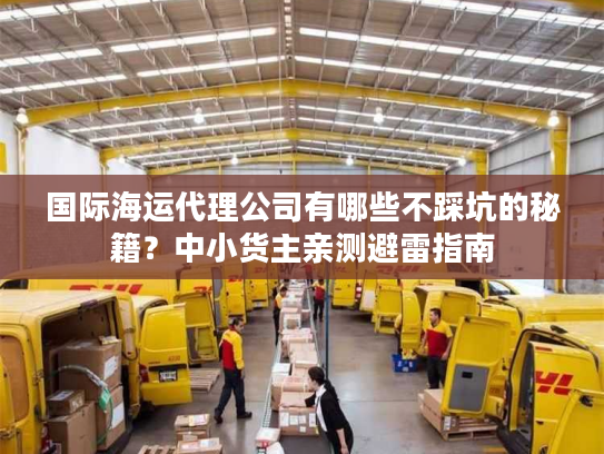 国际海运代理公司有哪些不踩坑的秘籍？中小货主亲测避雷指南