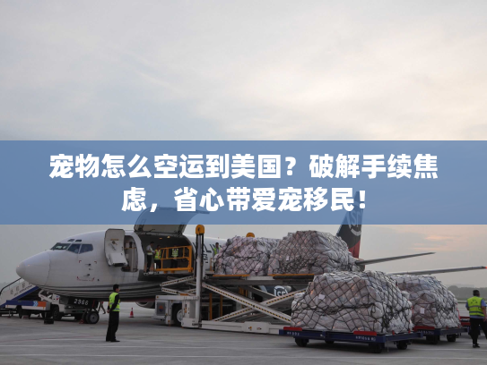 宠物怎么空运到美国？破解手续焦虑，省心带爱宠移民！