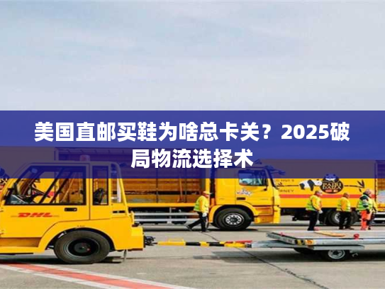 美国直邮买鞋为啥总卡关？2025破局物流选择术