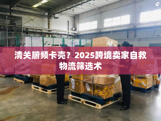 清关腑频卡壳？2025跨境卖家自救物流筛选术