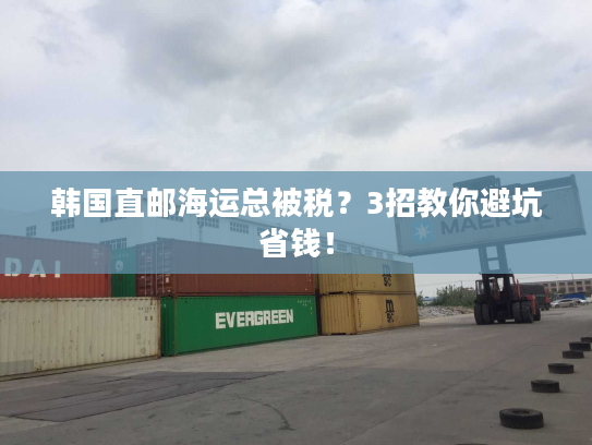 韩国直邮海运总被税?3招教你避坑省钱! 韩国直邮海运总被税?3招教你避坑省钱!