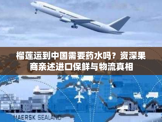榴莲运到中国需要药水吗？资深果商亲述进口保鲜与物流真相