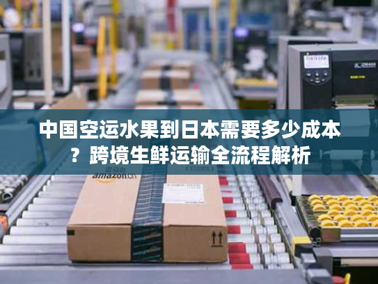 中国空运水果到日本需要多少成本？跨境生鲜运输全流程解析
