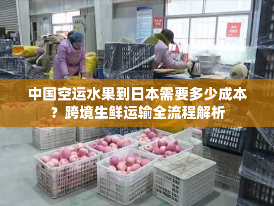 中国空运水果到日本需要多少成本？跨境生鲜运输全流程解析