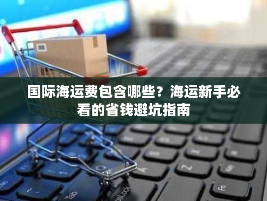 国际海运费包含哪些？海运新手必看的省钱避坑指南