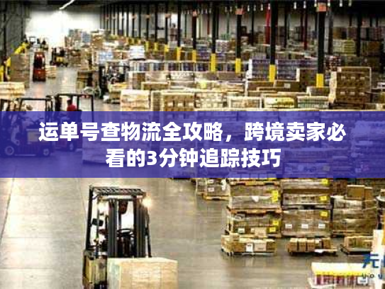 运单号查物流全攻略，跨境卖家必看的3分钟追踪技巧
