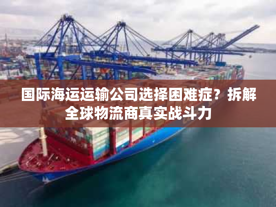 国际海运运输公司选择困难症？拆解全球物流商真实战斗力