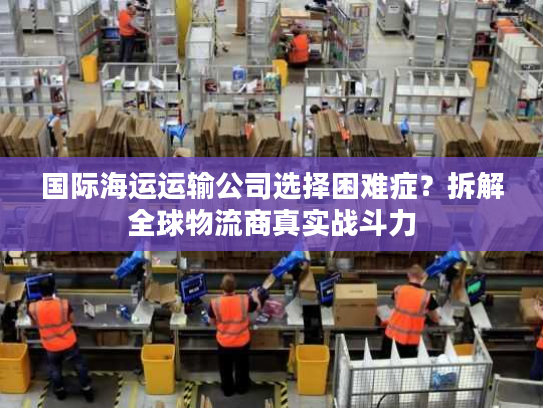 国际海运运输公司选择困难症？拆解全球物流商真实战斗力