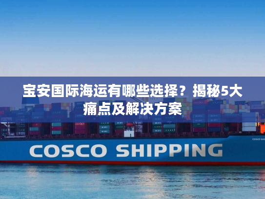 宝安国际海运有哪些选择？揭秘5大痛点及解决方案